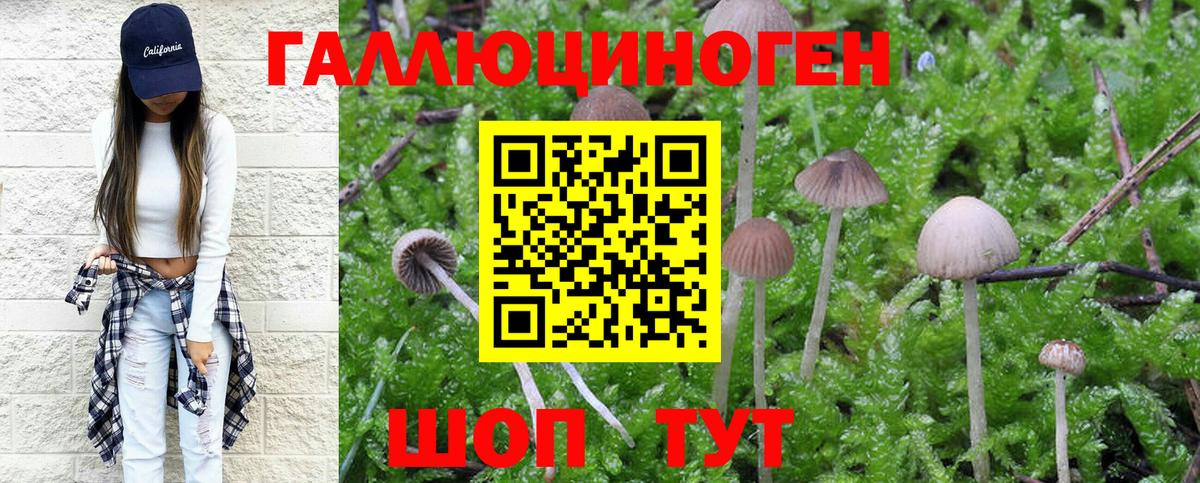 Галлюциногенные грибы мицелий Урай