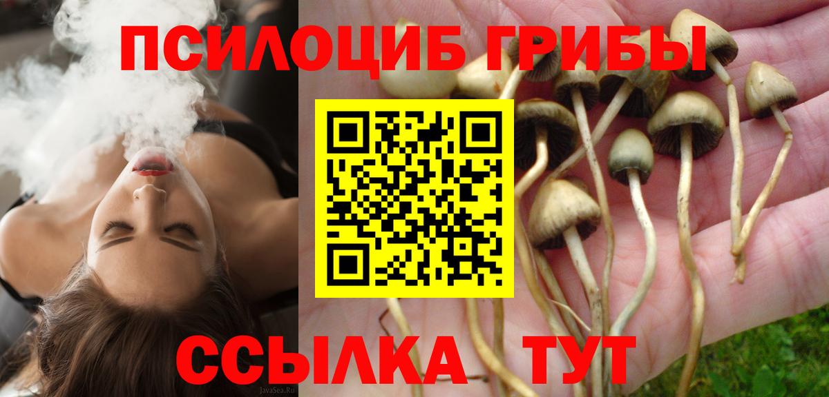 Урай  Псилоцибиновые грибы мицелий  Галлюциногенные грибы Psilocybine cubensis  Вход с VPN 